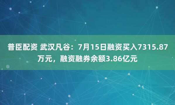 普臣配资 武汉凡谷：7月15日融资买入7315.87万元，融资融券余额3.86亿元