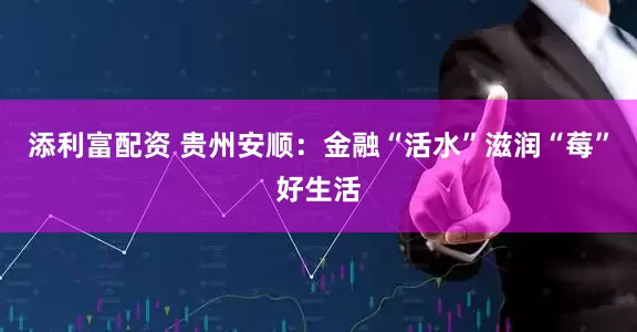添利富配资 贵州安顺：金融“活水”滋润“莓”好生活