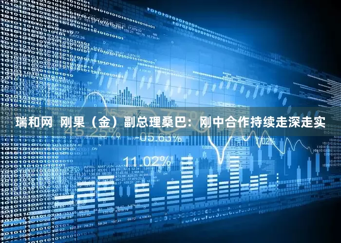 瑞和网  刚果（金）副总理桑巴：刚中合作持续走深走实